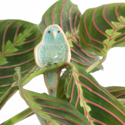 Budgie Plant Hugger Decorations | Gift Card | Letterbox Gift