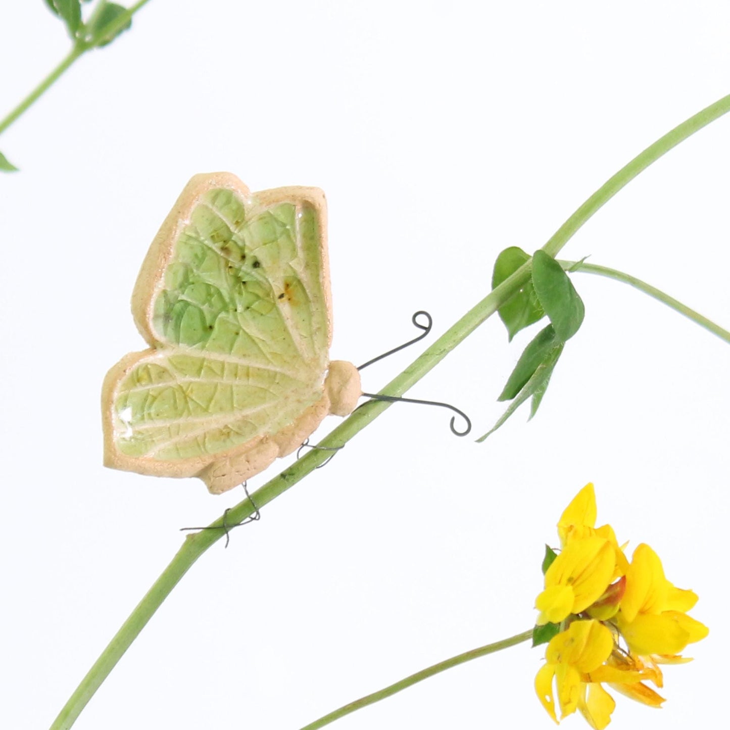 Butterfly Plant Hugger Decorations | Gift Card | Letterbox Gift