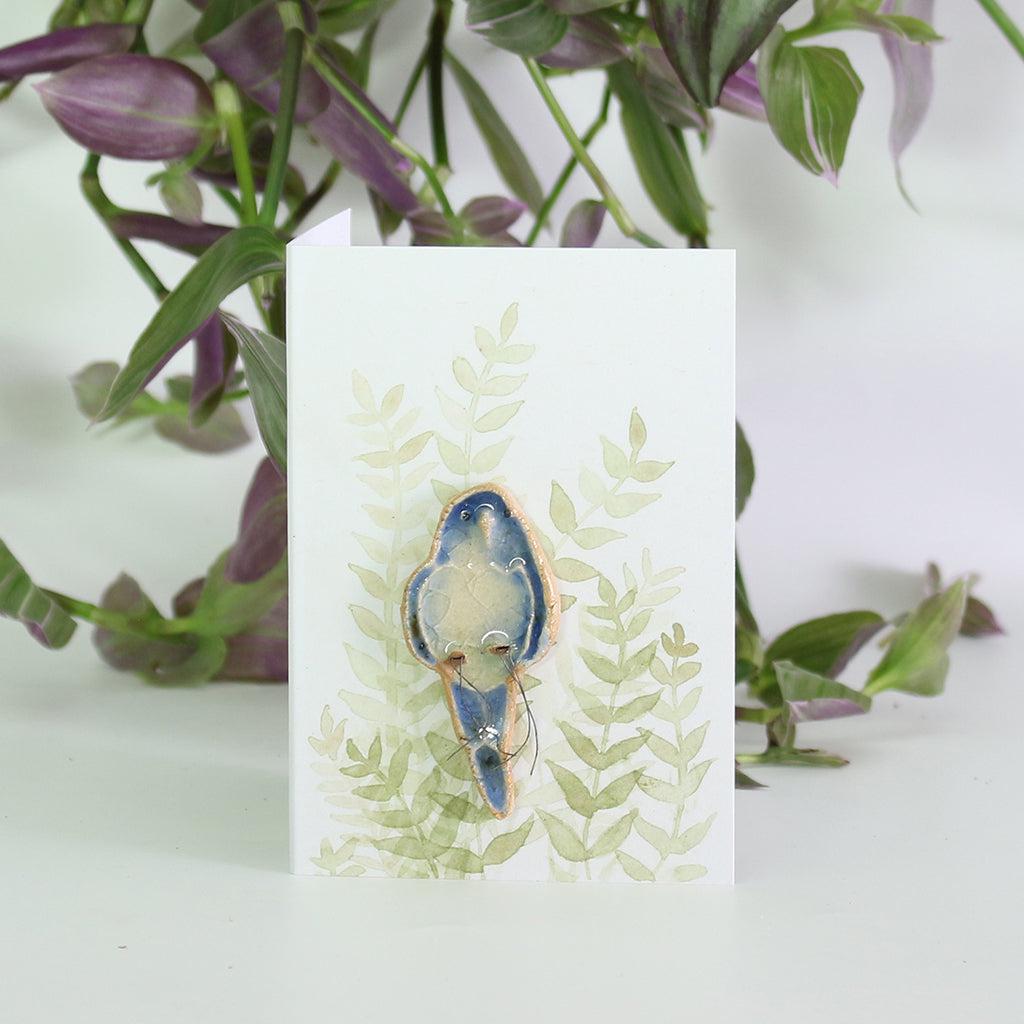 Budgie Plant Hugger Decorations | Gift Card | Letterbox Gift