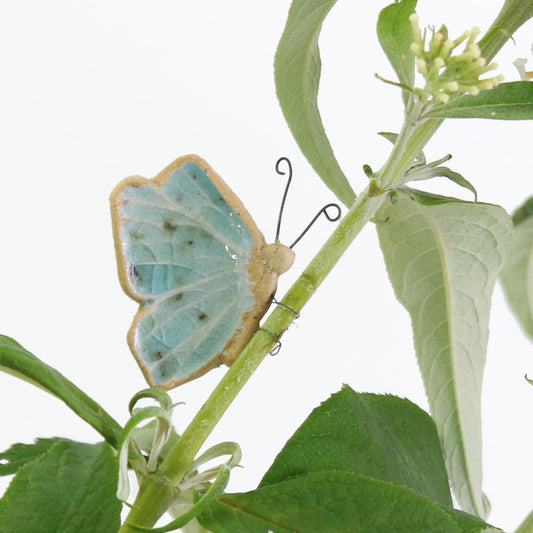 Butterfly Plant Hugger Decorations | Gift Card | Letterbox Gift