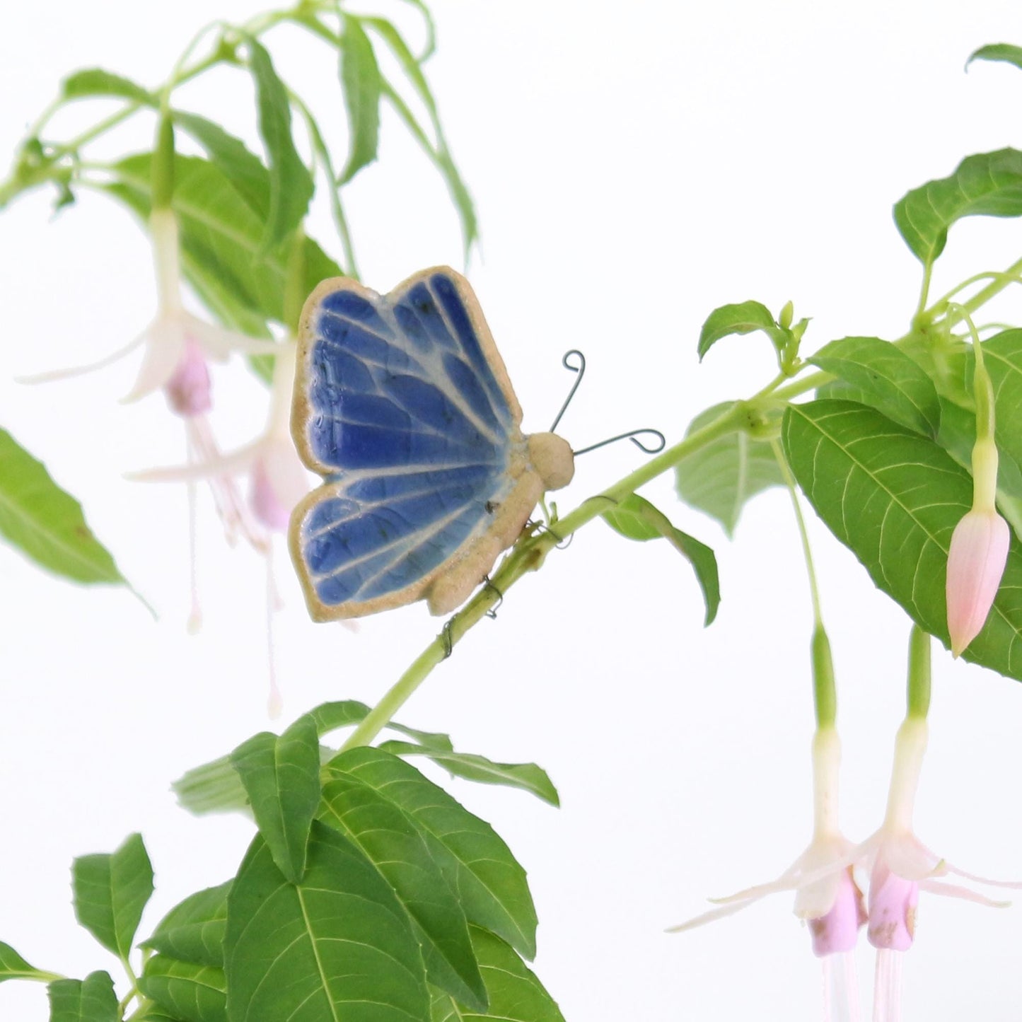 Butterfly Plant Hugger Decorations | Gift Card | Letterbox Gift