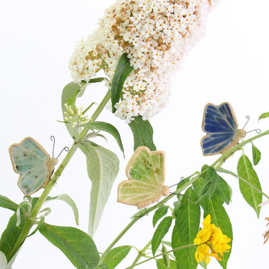 Butterfly Plant Hugger Decorations | Gift Card | Letterbox Gift